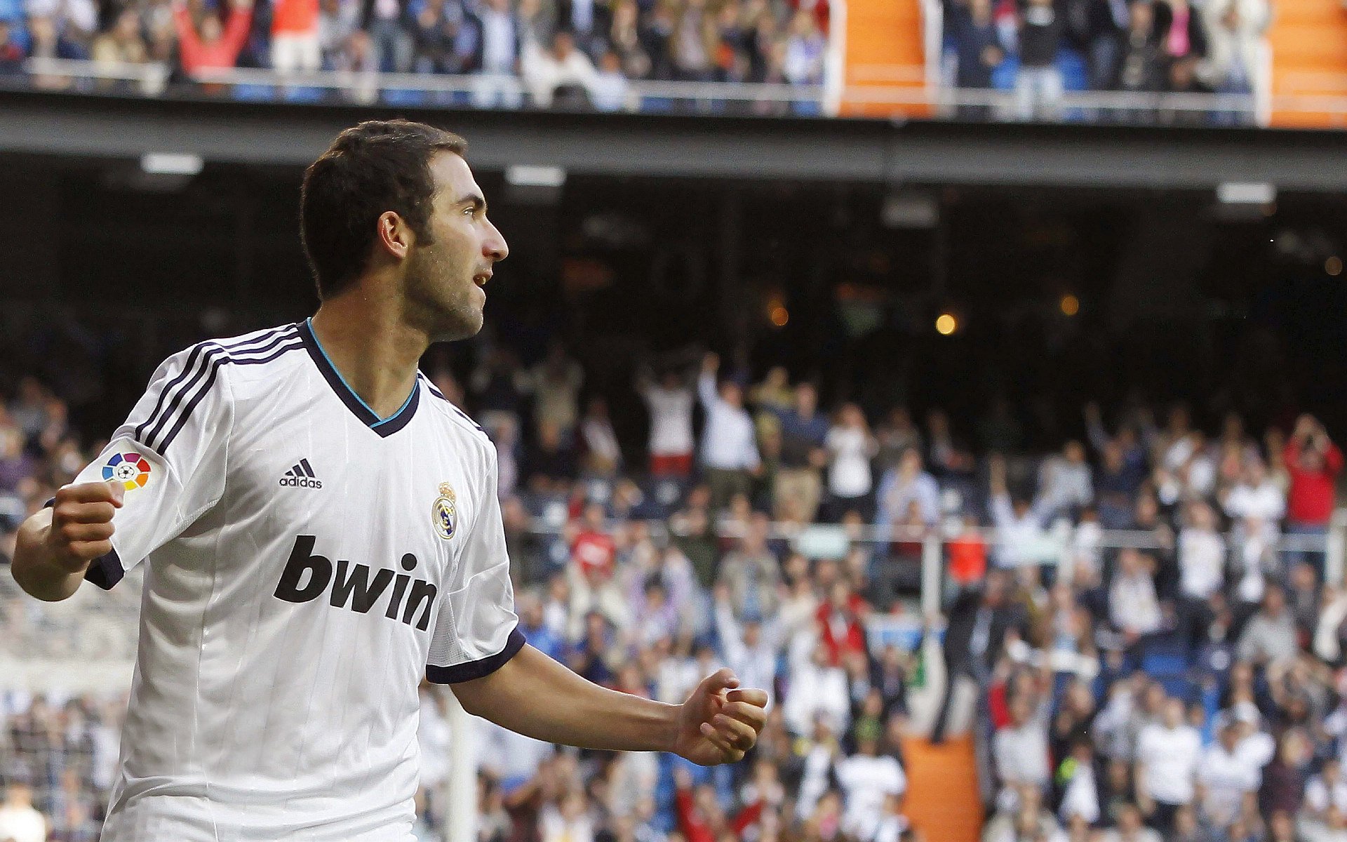 体育焦点事件引发社媒讨论,体育热点话题